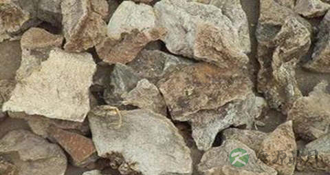 罗锅底的功效与作用
