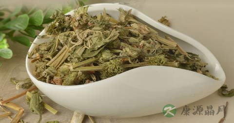 益母草的功效与作用