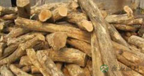 黄杨木的药用价值_黄杨木的副作用