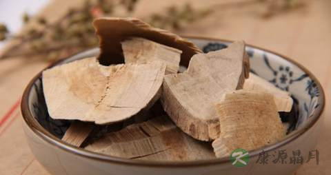 接骨木的药用价值_接骨木的副作用