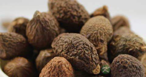 胖大海的药用价值_胖大海的副作用