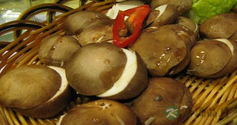 冬菇的功效与作用