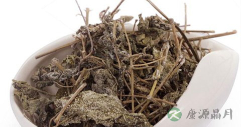 溪黄草的药用价值_溪黄草的副作用