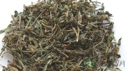萹蓄的功效与作用_萹蓄的药用价值
