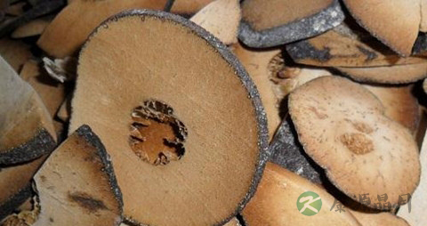 橘红的药用价值_橘红的副作用
