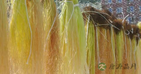 玉米须的药用价值_玉米须的副作用
