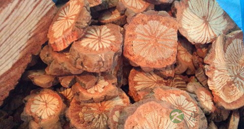 赤芍的功效与作用