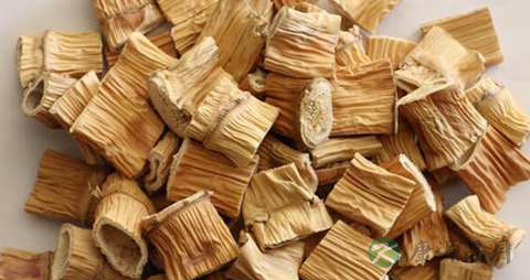 芦根的功效与作用