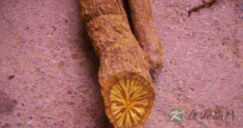 黄藤的药用价值_黄藤的副作用
