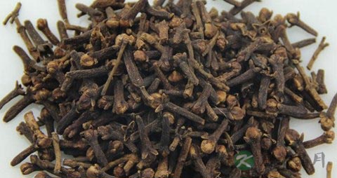 丁香的药用价值_丁香的副作用