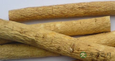 黄芪的药用价值_黄芪的副作用