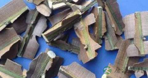 鬼箭羽的功效与作用
