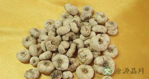 平贝母的药用价值_平贝母的副作用