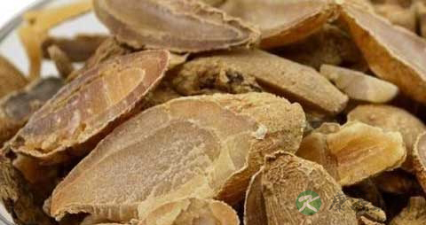 郁金的药用价值_郁金的副作用