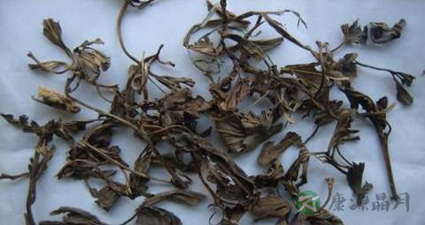 草乌的药用价值_草乌的副作用