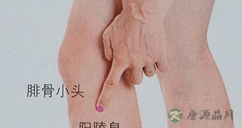 阳陵泉穴在哪里_阳陵泉穴的准确位置图
