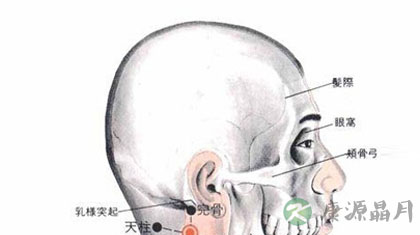 天牖穴的准确位置图