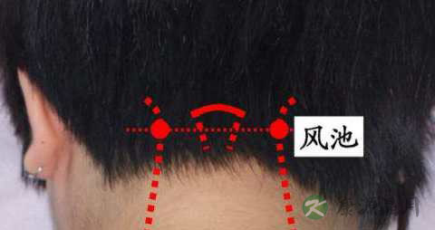 后脑两侧是什么穴位