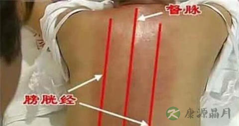 人体的膀胱经在哪里
