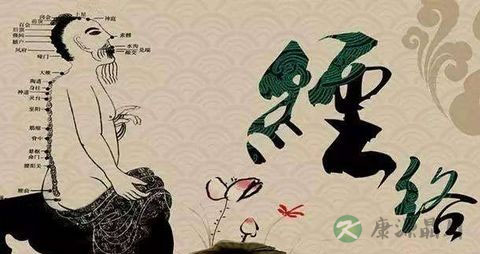 人体十二条经络作用