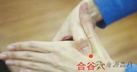 湿热灸哪里