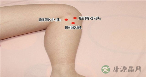 脾胃湿热按摩什么穴位