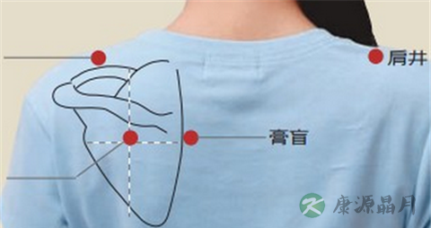 肩胛骨缝是什么穴位