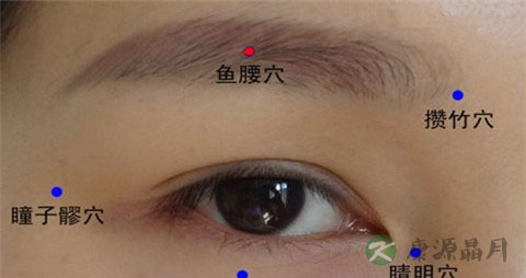 眼袋按摩什么穴位