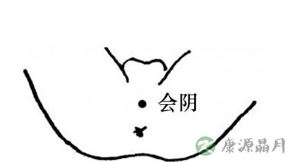 会阴穴在哪里_会阴穴的准确位置图