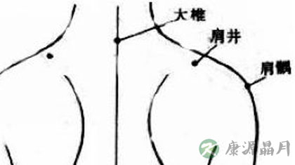 肩井穴在哪里_肩井穴的准确位置图