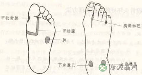 股骨头坏死按什么穴位