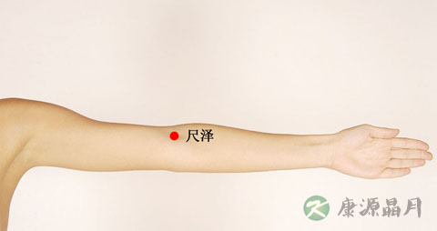 尺泽穴的准确位置图