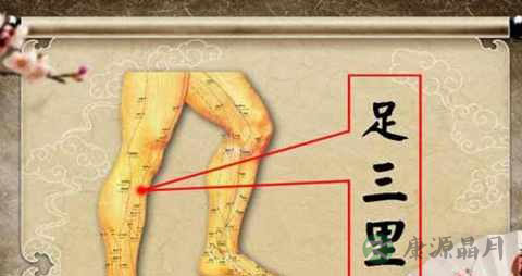 足三里穴的简单找法