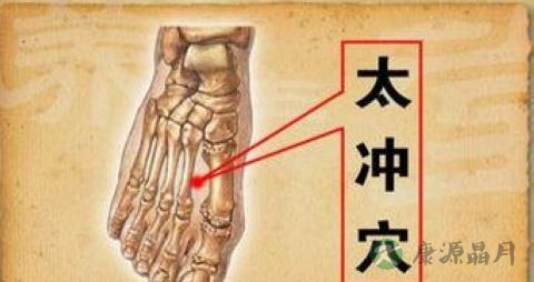 肝经的体表走向