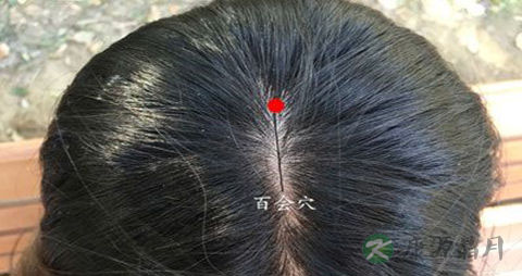 头顶有个什么穴位