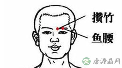 鱼腰穴的准确位置图