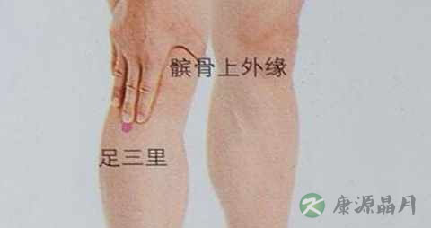 足三里穴在哪个部位