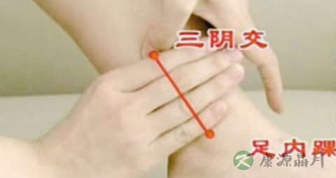 怎么调理肝脏