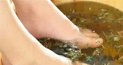 艾叶泡脚能治脚气吗
