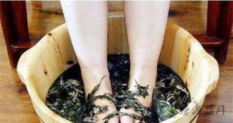 艾叶水泡脚的功效