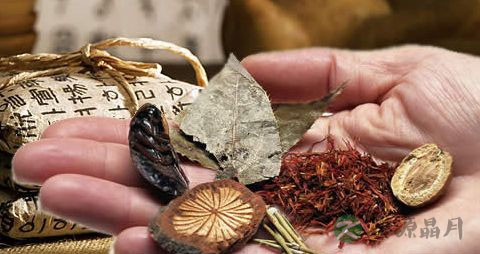 喝中药可以吃黄豆芽