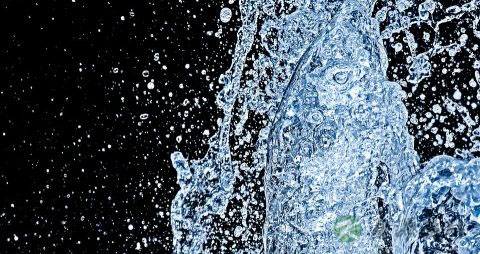 水中毒怎么办