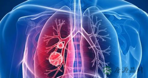 肺气肿的食疗偏方