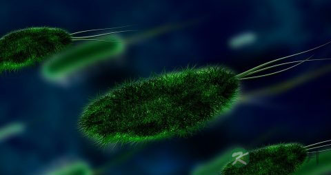 预防h7n9禽流感的方法