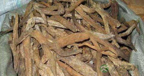慢性荨麻疹的偏方