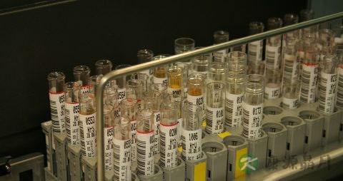 美白丸怎么吃 美白丸怎么吃