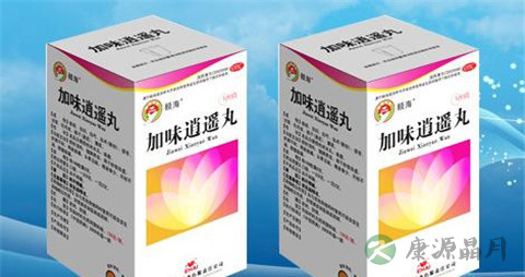 加味逍遥丸说明书