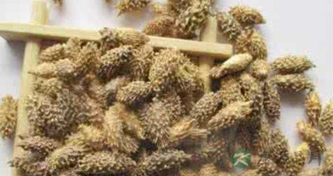 治疗荨麻疹的偏方大全