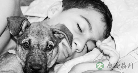 怎样预防磨牙有偏方吗 怎样预防磨牙有偏方吗