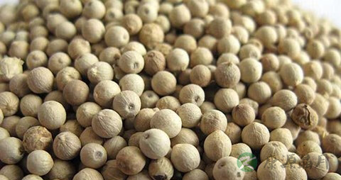 白胡椒治胃寒的偏方